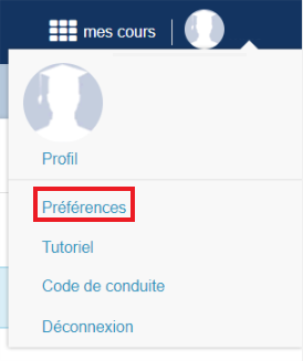 _images/ZoneCours3.png